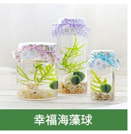 Yulu đa-nhỏ trồng công cụ làm vườn màu xanh lá cây công cụ trồng làm vườn trong chậu nguồn cung cấp hơn 68 nhân dân tệ vòi phun nước tưới cây