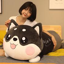 Cute haschic plush toy sleeping bed long holding pillow Erkha paparazzi dog cloth doll birthday present girl
