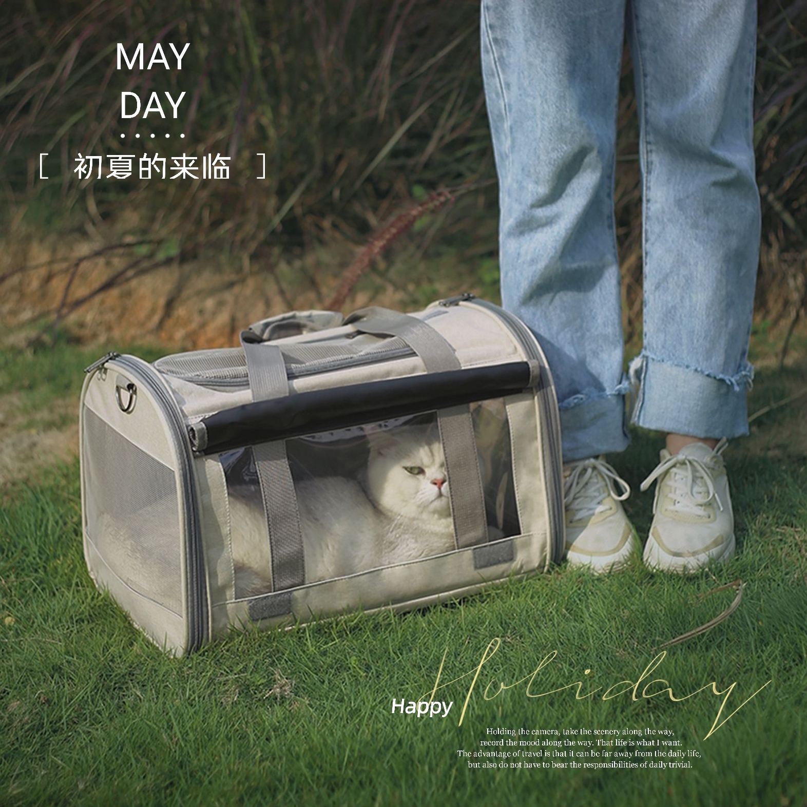 Cat Bag Summer Out Portable Skew Satchel Hand Big Number Neutered Pet Cat Pack Breathable Folding Pooch Outside with bag