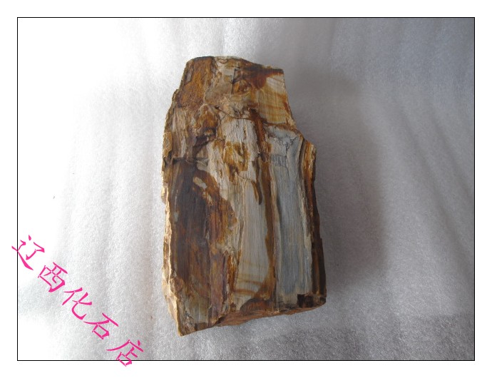 Liao Xi Chaoyang Natural Ancient Biochi Stone View Light Stone Fossil Tree Fossil Tree Fossilized Jade Wood Chemical Stone Original Stone 2707