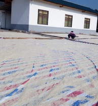  Gongcheng Camellia snacks fried rice yin rice rice flower self-sealing bag packaging(non-vacuum)10 kg in Guangxi