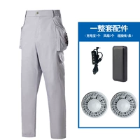 Серый фанат 20 000 пропускной способности сокровища