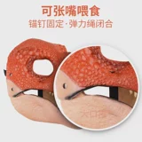 Динозавр, маска, шлем, юрский период, тираннозавр Рекс, домашний питомец