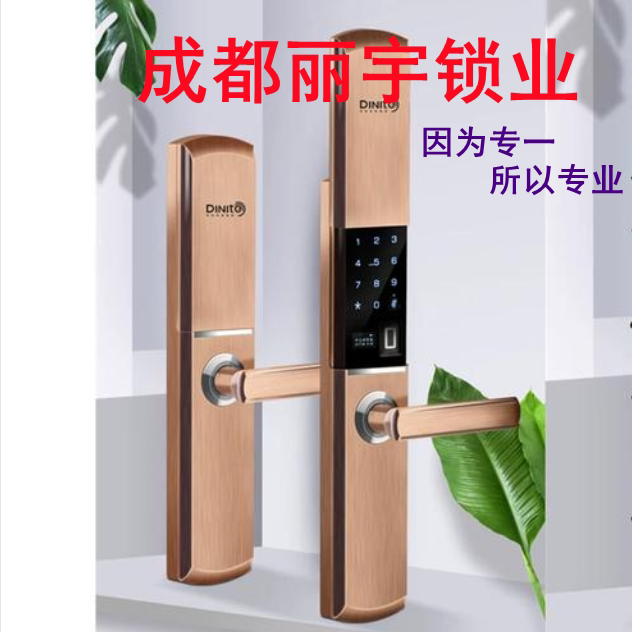 成都丽宇锁业的LOGO
