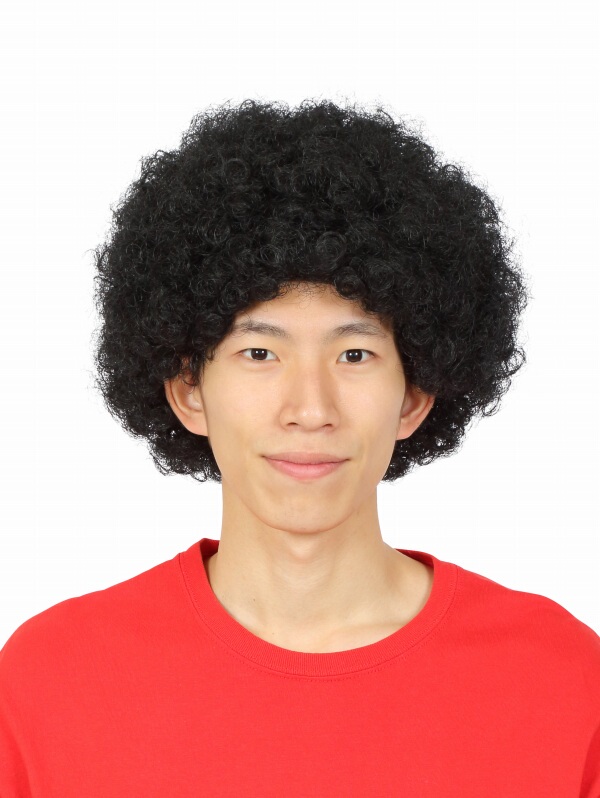 Fan Wig Hairpiece Afro Short Curly Hair Bubble Head Wig Festival Performance Headgear Props Cosplay Hair