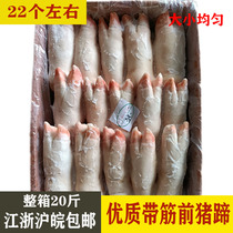Fresh frozen high-quality pig trotters whole box 20 jins 22 or so trotters with tendons before Jiangsu Zhejiang Shanghai and Anhui