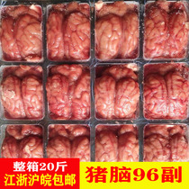 Fresh frozen pig brain FCL 20 catties 96 pairs Pig brain flower big pig brain hot pot ingredients Jiangsu Zhejiang Shanghai and Anhui