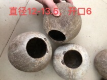 Coconut shell flower pot planting plant balcony home decoration (200 starting) (order to pay)