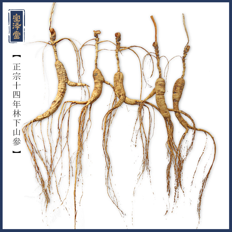 The 16 year Yanxian Zhangshan Yangshan northeast wild wild forest parameter parameter of the mountain junction