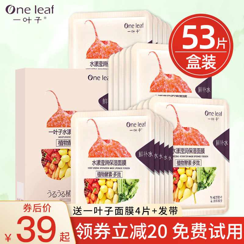 A leaf ripple par dry oil skin coating female hydration moisturizing and control oil and pox