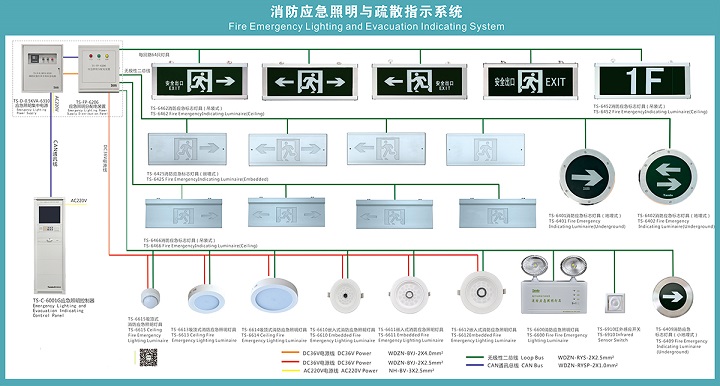 TS-BLJC-1LROEⅠ1W-6442 centralized power supply centralized control type fire emergency sign lamp wall hanging