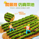 Diy handmade vegetable garden building model materials miniature scene mini simulation food dollhouse tools mini