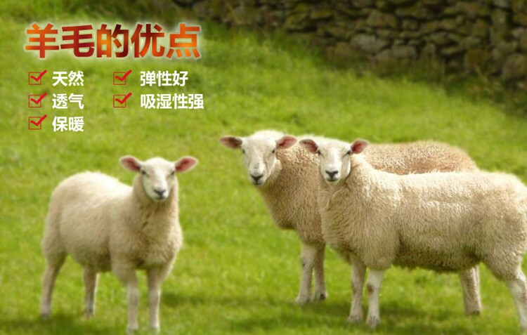 Pantalon collant jeunesse en laine - Ref 756817 Image 40