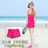 Купальник, раздельные штаны, бюстгальтер пуш-ап со стальными косточками, большой размер, по фигуре