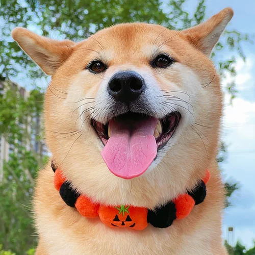 Хэллоуин Новый год рождественский весенний фестиваль мультфильм мяч Ball Cat Dog Pet Рождество Тедди Шиба Ину воротник с регулировкой