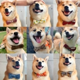 Японский аксессуар, регулируемая галстук-бабочка с бантиком, чокер, популярно в интернете