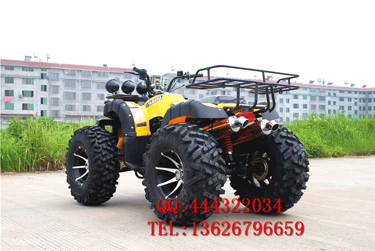 150CC-250CC lớn bull ATV 12 inch bốn bánh off-road xe máy ổ trục với sự khác biệt