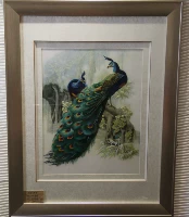 Сказанная рука 绦逶 艺 艺 艺 Вышивка и вышивка