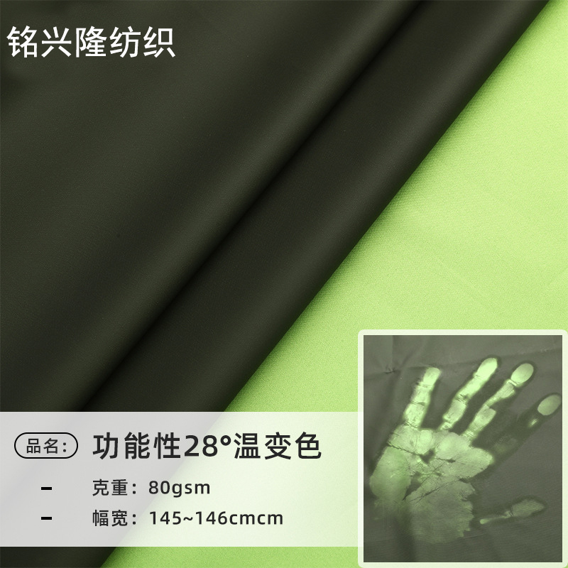 Temperature-Changing Fabric, Waterproof Technical Fabric, Temperature-Sensitive Low-Temperature Multi-Color-Changing down Jacket, Pu Leather Clothing Designer Fabric