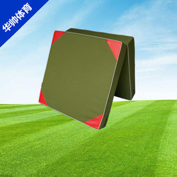 Dance Mat thickened Girls Practice Wushu Wrestling Training Mat Somersault Sponge Mat Rock Climbing Protection Run-up Mat