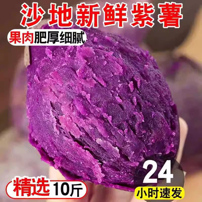 紫薯新鲜板栗红薯番薯地瓜蜜薯糖心山芋烟薯香薯蔬菜农家自种沙地