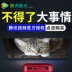 Máy chiếu điện thoại di động mới nhà nhỏ mini wifi siêu nhỏ không dây 3D rạp hát tại nhà Android cầm tay HD 4K máy chiếu tường laser có thể kết nối điện thoại di động 1080p ký túc xá thông minh