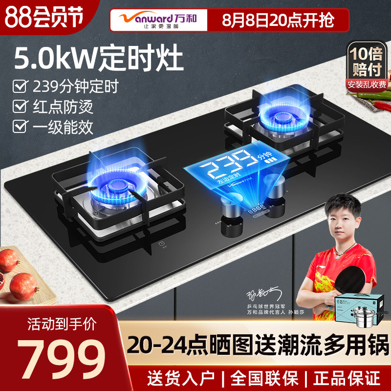 Wan and 95 gas furnace dual - port gas furnace household gas intelligent timing of the bench embedded dual - use polymer furnace