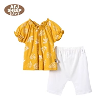 DJB10764 Джинджер