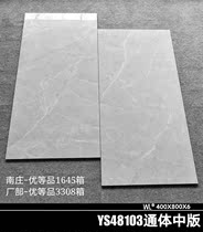 Guangdong Foshan 400x800 all-ceramic anion all-body middle plate tile Living room wall tile Modern simple large instrument