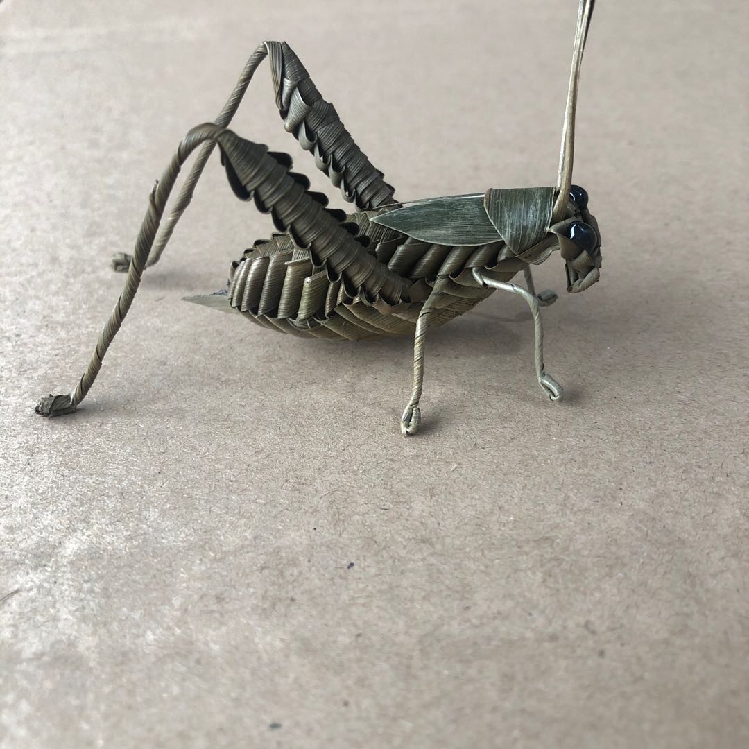 Grass choreography brown choreography Insects the traditional non-relic culture nursery school hand working fake insect Insect Toys children Toys