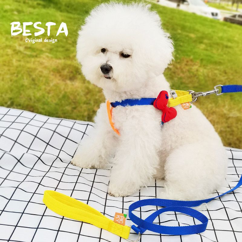 BESTA - Thecute Pet Dog with small dog Teddy bear bear Chenary tracking rope walking the dog