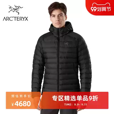 ARCTERYX Archaeopteryx Man Light CERIUM LT Hooded Down Jacket