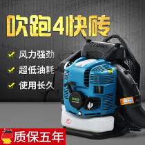 Bear-bearing shed snow blower high-power wind extinguisher blasting road gasoline blower blowing defoliants