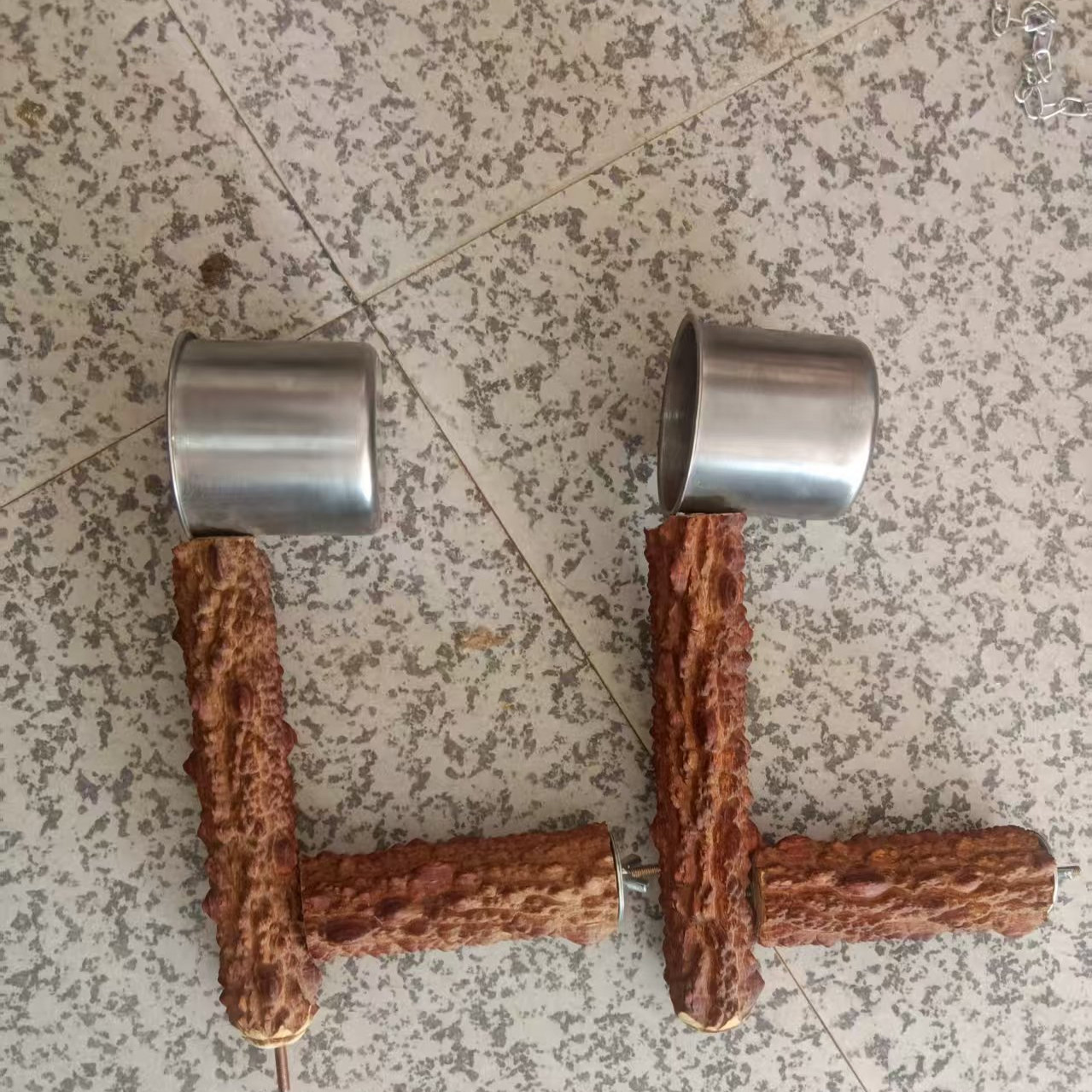 Parrot myna training stand