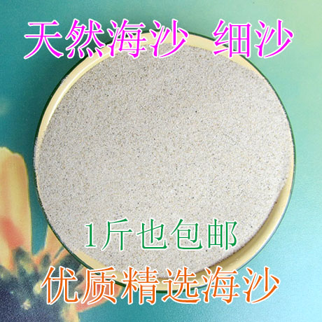 Fine sand toddler baby sand paving sand fish beach building with white sand cylinder sand pan sea sand natural pool water sub-play group