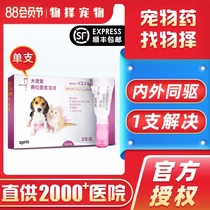 Big pet puppies kittens dogs cats with in-body and out-of-body deworming and deworming drops single branch