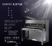 Đàn piano Bayinstein BY-123AB3