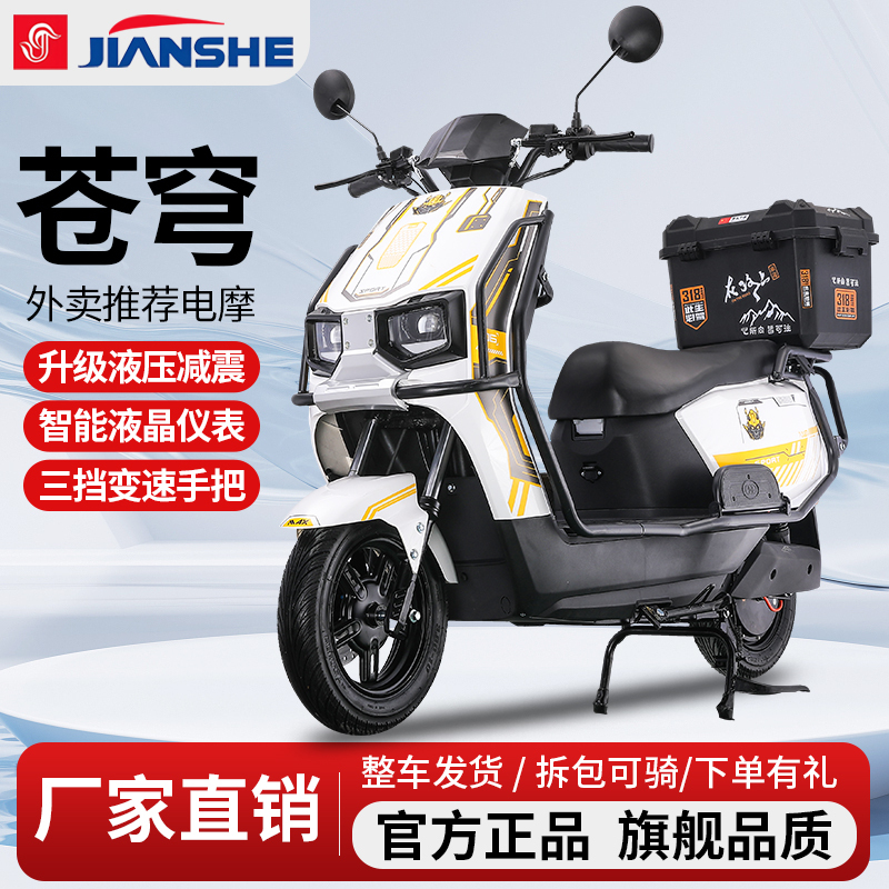 2026 New Model Long Run King Electric Scooter 72V96V High-Speed Delivery Electric Bike High-Power Pedal Electric Motorcycle