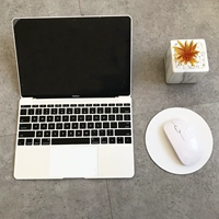 Чистый белый