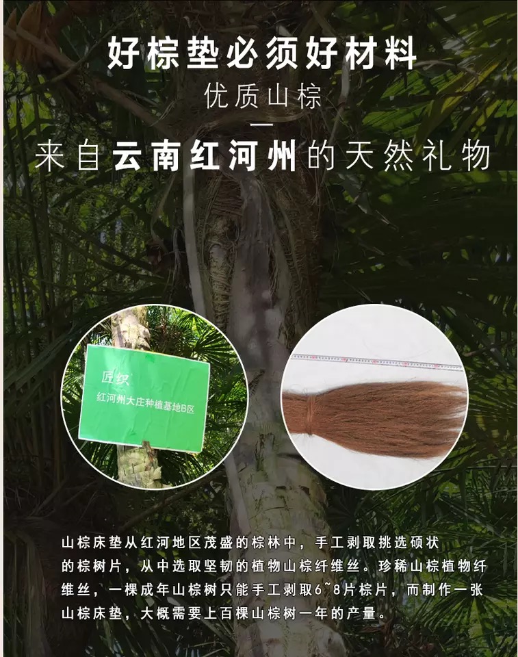 Nệm nâu toàn bộ làm bằng tay tự nhiên không dính mỏng cọ trẻ em cứng 1,5m1,8 m thảm cột sống được bảo vệ tùy chỉnh - Nệm nệm everon