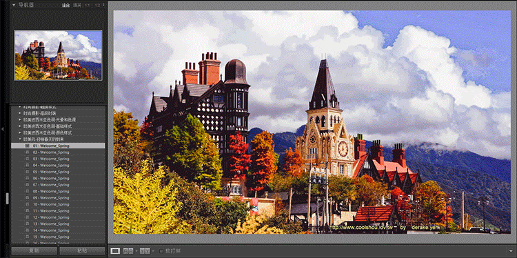 ps插件PR/AE/LR全天插件合集磨皮美白抠图抠像降噪转场字幕粒子模板调色 31000个ps/PR/AE/LR CC2020 全套插件合集