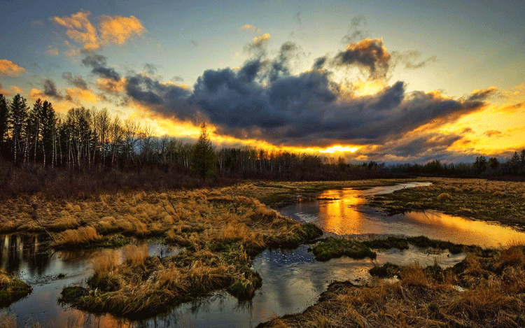 ps插件PR/AE/LR全天插件合集磨皮美白抠图抠像降噪转场字幕粒子模板调色 31000个ps/PR/AE/LR CC2020 全套插件合集