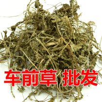 Plantain dried plantain herbal tea 3 kilos of wheel vegetables clean Chinese herbal medicine 500g grams RMB10