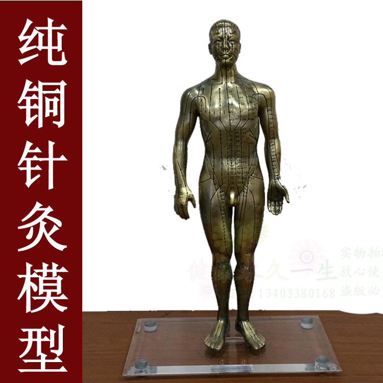 包邮！超清晰纯铜经络穴位针灸铜人 人体穴位模型 中医针灸人模