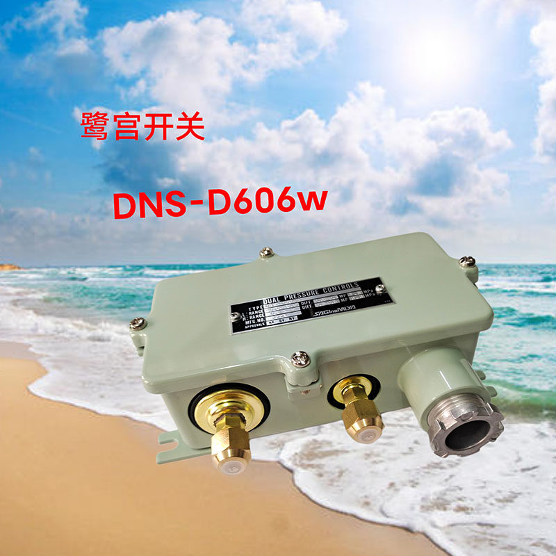 SAGINOMlYA Japan Sagittarius differential pressure switch DNS-D606W-0 06-0 6