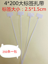 Large label cable tie 4*200 nylon cable tie tag sign label label strap 2 5*1 5cm large label