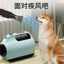 Pet hair dryer for medium and large dogs bathing and blowing machine high-power hair blower and drying box for cats and dogs