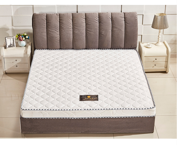 Nệm cao su Simmons siêu mỏng nệm lò xo 12CM 15CM cao giường nệm đôi nệm tùy chỉnh - Nệm nệm hơi nước