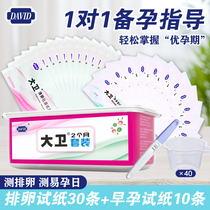 The David Pregnancy Stick Suit for the first time