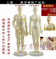 Zhengjie Model 50 см. Мужчина 1 человек 1